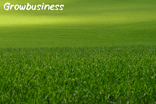 Lawn Care Business Failed