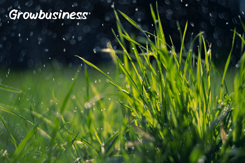 Lawn Care Business Failed