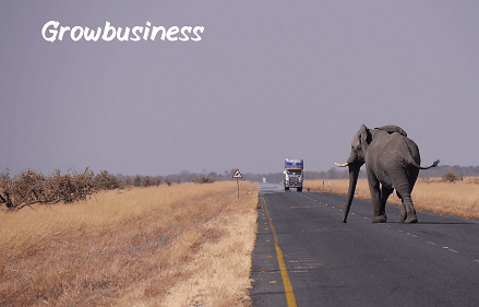 Botswana Business Grants