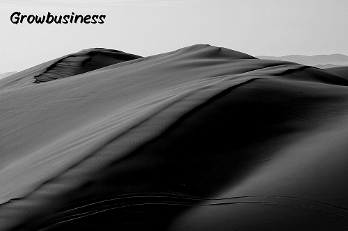 Sahara Serenity Care Business